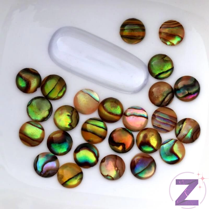 Kör kagyló körömdísz oliva 6mm